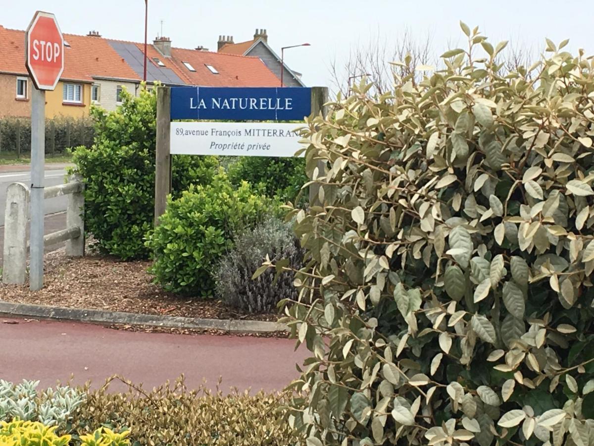 La Mer Vue D'En Haut , Duplex A La Naturelle Sur La Cote D'Opale Wimereux Ngoại thất bức ảnh